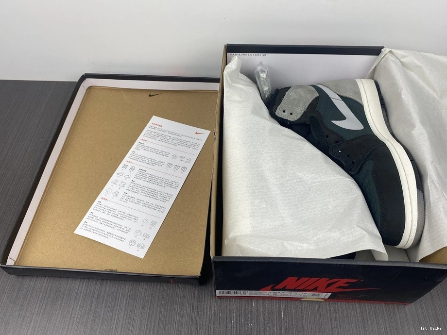 Jordan Air 1 Black Grey Gore-Tex Element DB2889-001 0417